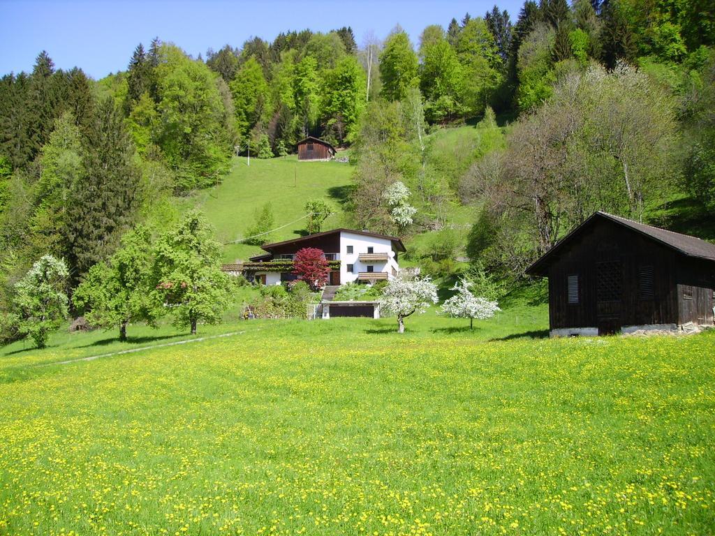 Sonnenhaus Sander Schruns Екстериор снимка