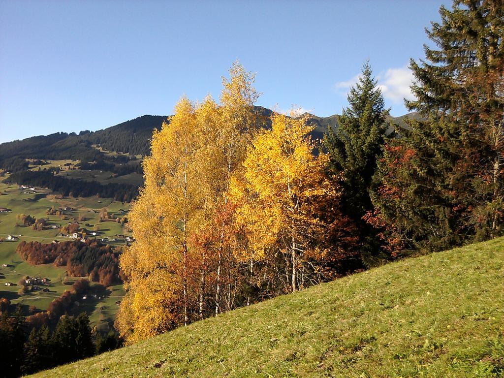 Sonnenhaus Sander Schruns Екстериор снимка